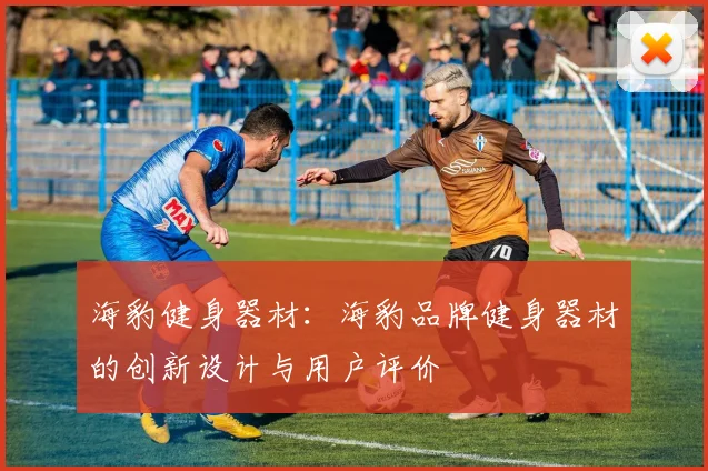 海豹健身器材：海豹品牌健身器材的创新设计与用户评价