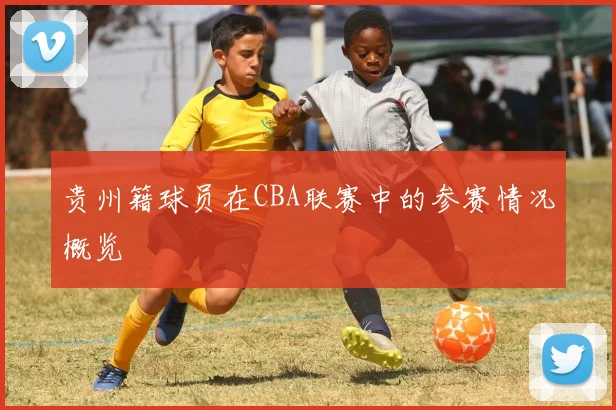 贵州籍球员在CBA联赛中的参赛情况概览